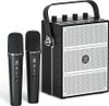 100W Powerful Voice Amplifier with 2 Wireless Microphones