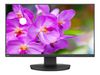 Màn hình NEC EA241F-BK 24 inch Full HD IPS chống chói cho văn phòng