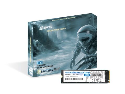 Ổ cứng SSD SSTC E130 512GB