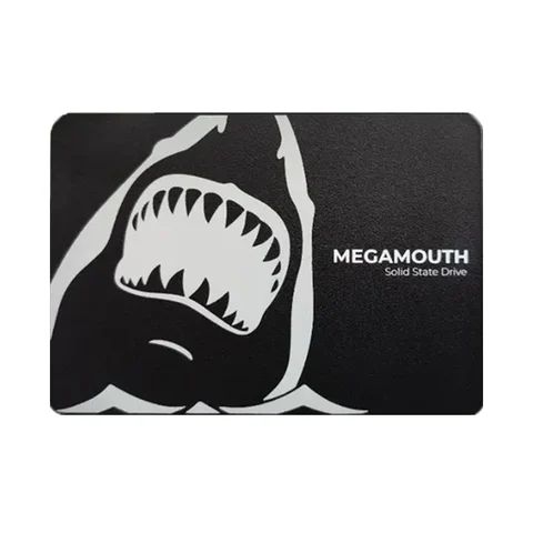 Ổ cứng SSD SSTC M110 512GB