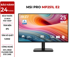  MÀN HÌNH MSI PRO MP251L E2 24.5