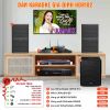 Dàn karaoke gia đình HDR102 (Wharfedale WH10 Pro)