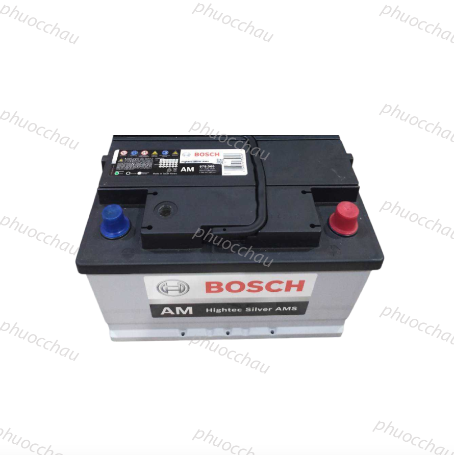 Ảnh minh họa Ắc Quy BOSCH DIN 575.065 12V-75Ah 2