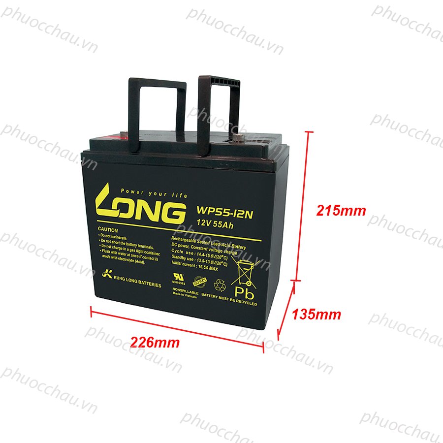 Ảnh minh họa Ắc Quy LONG WP55-12N (12V-55Ah) 2