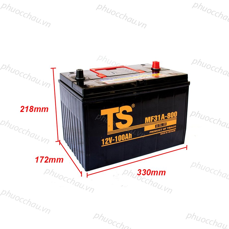 Ảnh minh họa Ắc Quy Tia Sáng MF31A-800 12V-100Ah 2