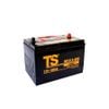 Ắc Quy Tia Sáng MF31A-800 12V-100Ah