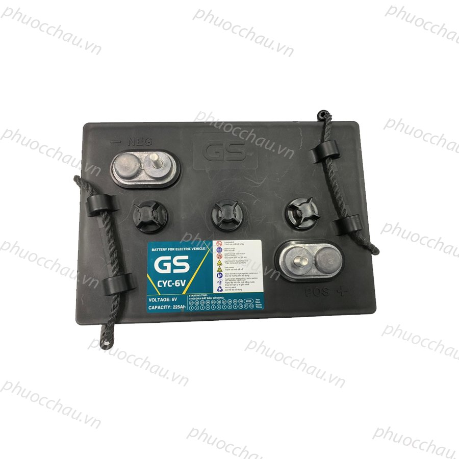 Ảnh minh họa Ắc Quy Xe Điện GS CYC-6V 6V-225AH, acquy dùng cho xe golf, xe điện 2