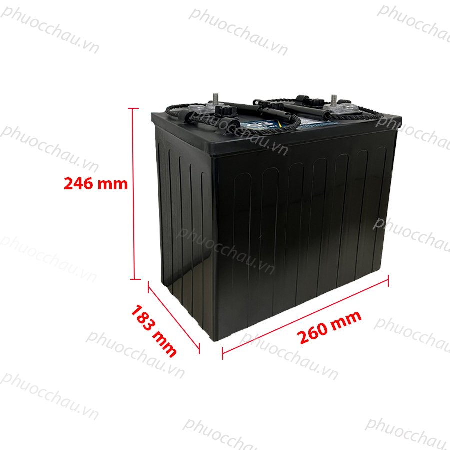 Ảnh minh họa Ắc Quy Xe Điện GS CYC-6V 6V-225AH, acquy dùng cho xe golf, xe điện 3