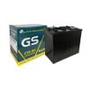 Ắc Quy Xe Điện GS CYC-6V 6V-225AH, acquy dùng cho xe golf, xe điện