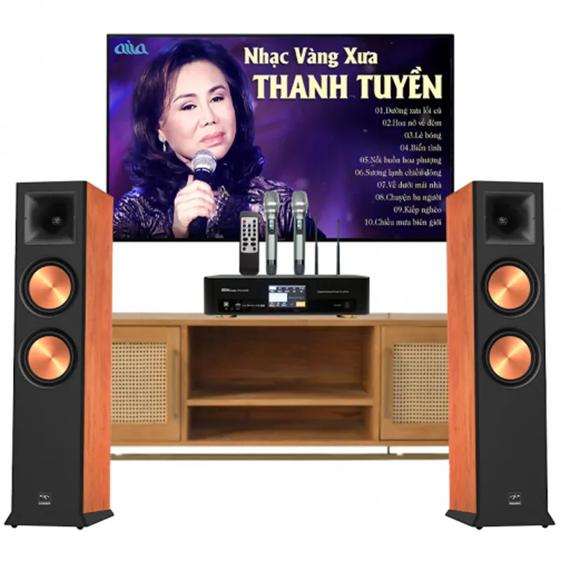 Ảnh minh họa Dàn Nghe nhạc và Hát karaoke Paramax 03 (Paramax EURO 8 Limited, Bksound DKA 5500) 1
