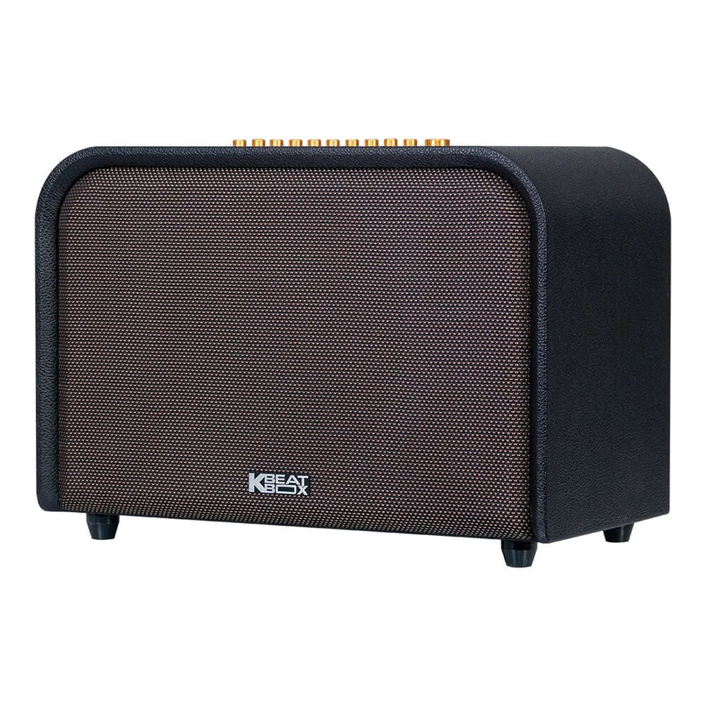 Ảnh minh họa ACNOS ACOUSTIC 3 – Loa Karaoke Di Động Cao Cấp, Bass Sub 25 2