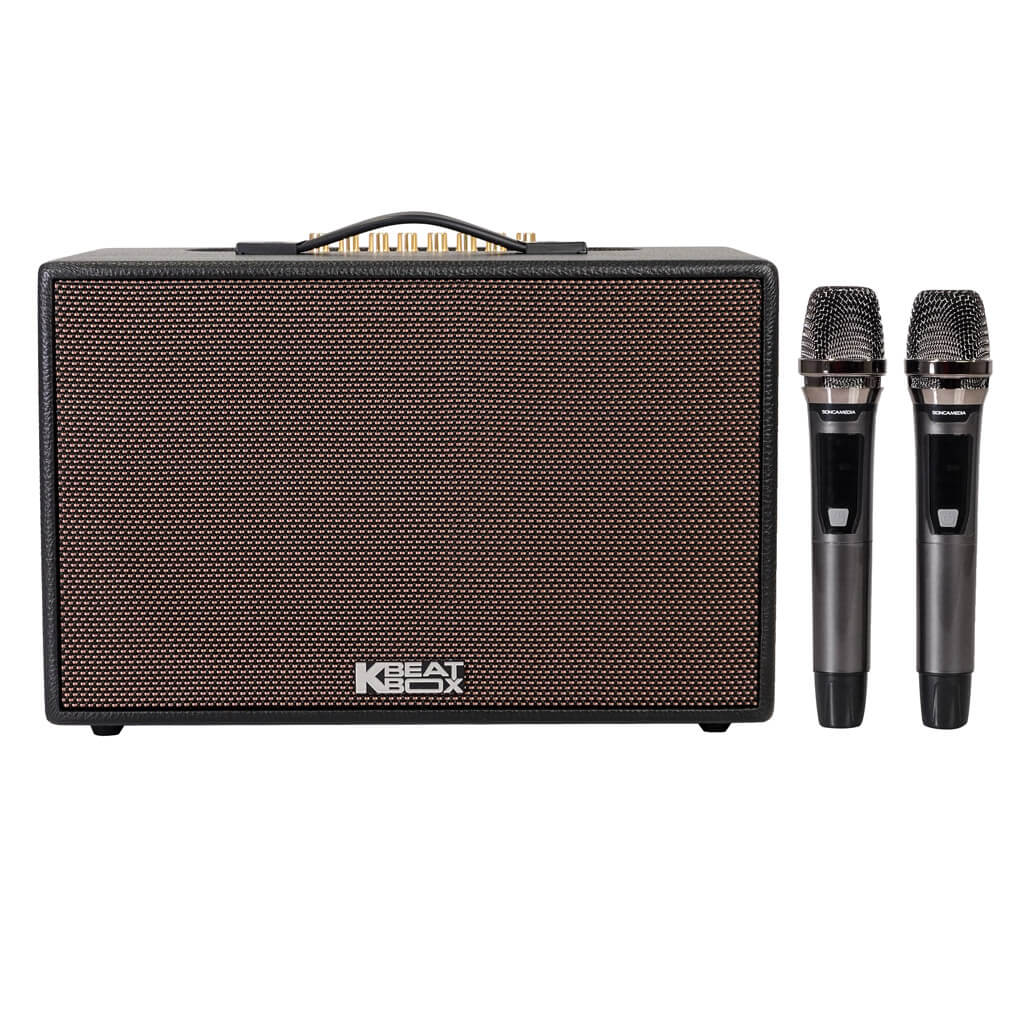 ACNOS CS200 PRO – Loa Karaoke Di Động 100W, Bass 20cm, Kèm 2 Micro
