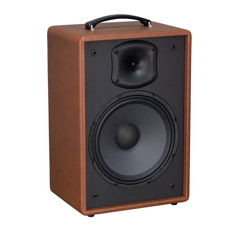 Ảnh minh họa ACNOS Symphony – Loa karaoke di động 70W-400W, Bass 25, Kèm 2 Micro 3