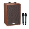 ACNOS Symphony – Loa karaoke di động 70W-400W, Bass 25, Kèm 2 Micro