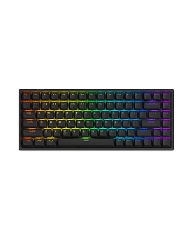 Bàn phím cơ AKKO 3084 v2 RGB – Black