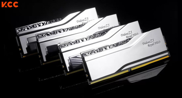 Ảnh minh họa Ram Desktop Gskill Trident Z5 Royal Neo 96GB (48GBx2) CL28 DDR5 6000Mhz Silver (F5-6000J2836F48GX2-TR5NS) 3