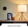 Amazon Echo (thế hệ 3), trợ lý ảo Alexa với âm thanh tuyệt vời