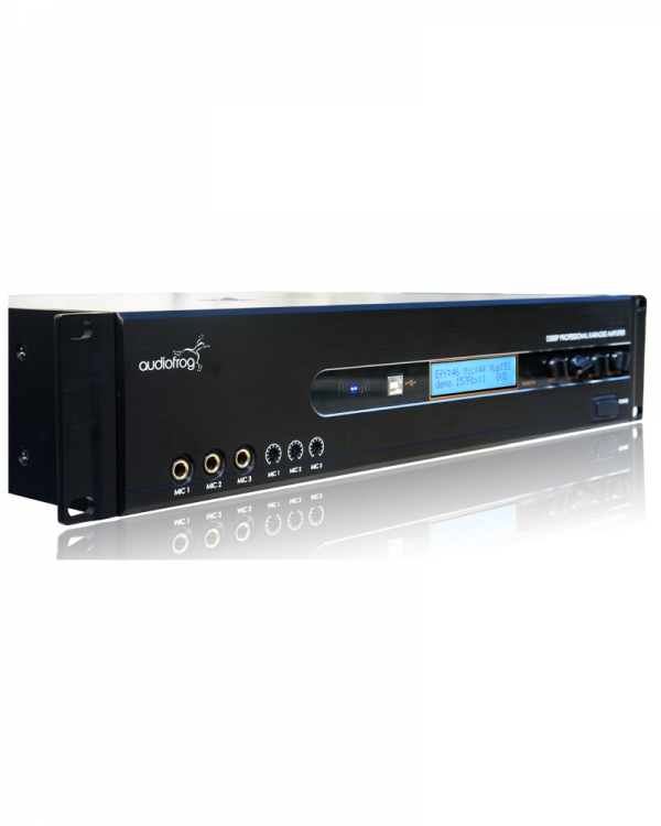 Ảnh minh họa Ampli karaoke AUDIOFROG D300P 2