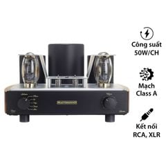  Amply đèn Mastersound Gemini, 2 Kênh, 50W/CH 