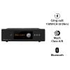 Amply Roksan Blak, 150W/CH (8 Ohm)