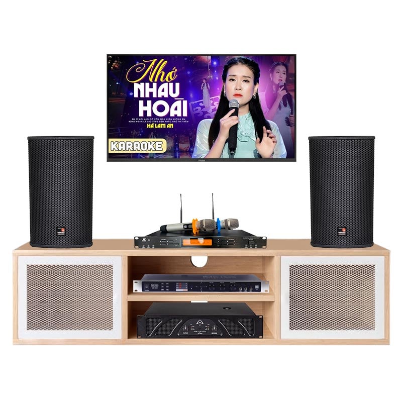 Dàn Karaoke cao cấp HDR32 ( Tecnare E10 + Công suất + Vang cơ + Micro không dây )