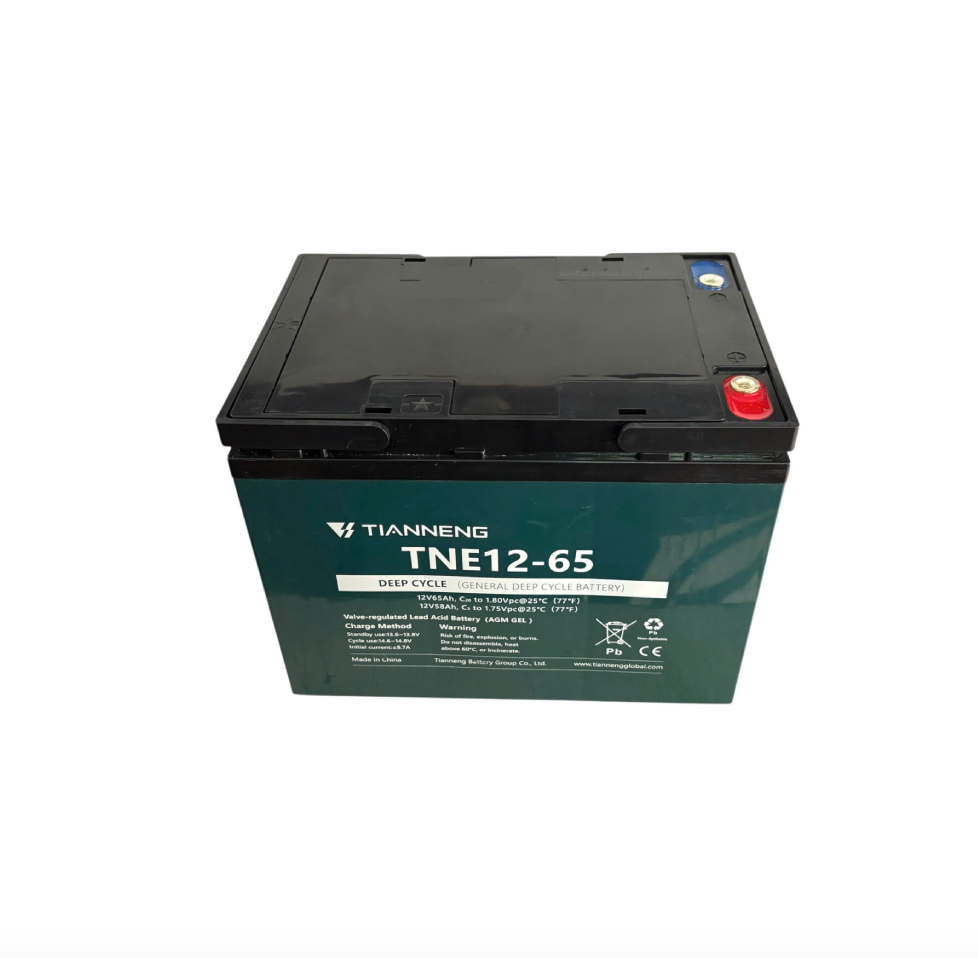 Ắc Quy Thiên Năng Tianneng TNE12-65 (12V - 65Ah), ắc quy dùng cho UPS, Năng lượng mặt trời