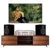 Dàn âm thanh nghe nhạc mini cao cấp Piega HD74