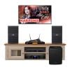 Dàn Karaoke Cao Cấp HDR51 (Whafedale Anglo E12)