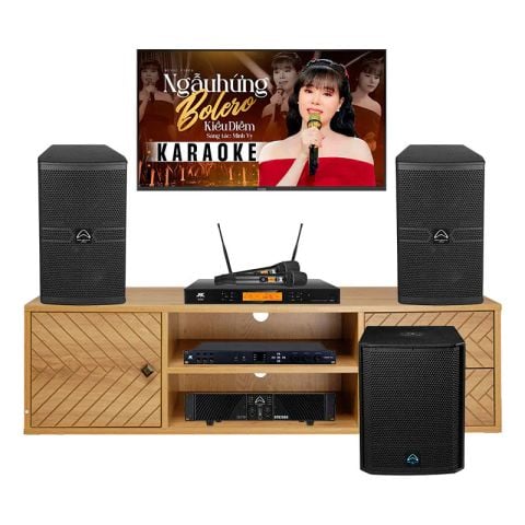 Dàn Karaoke Cao Cấp HDR53 (Whafedale Anglo E12)