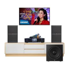  Dàn karaoke gia đình HDR95 (Wharfedale WH10 Pro) 