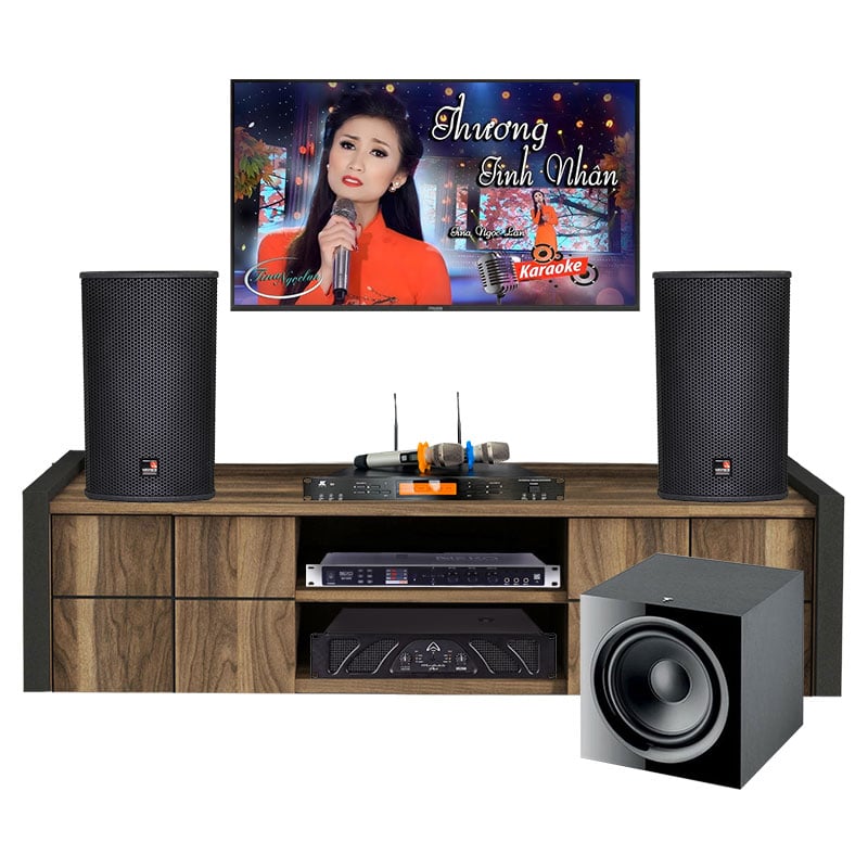 Dàn Karaoke Cao Cấp HDR35 ( Tecnare E10 + Công suất + Vang cơ + Micro không dây + Sub )