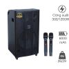Loa Arirang MK1 Max, Bass 40cm, Công suất 300W, Bluetooth 5.0, Kèm 2