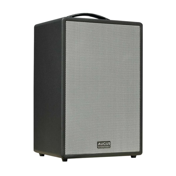 Ảnh minh họa AUCUS X300 2