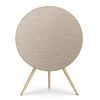 Loa B&O Beosound A9 MK5 (1500W)