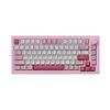 Bàn phím AKKO 5075 V3 Prunus Lannesiana Akko Piano
