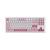 Bàn phím AKKO 5087 V3 Prunus Lannesiana Akko Piano Pro
