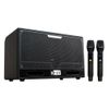 BEST S16-V3 – Loa Karaoke Xách Tay 200W, Bass Đôi 16.5 cm, Kèm 2 Micro