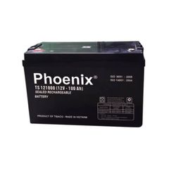  Bình Ắc Quy Khô PHOENIX TS121000 12V-100AH 