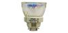 Bóng đèn 461W Hàng chính hãng Mitek&HBK OSRAM-BULB-461W