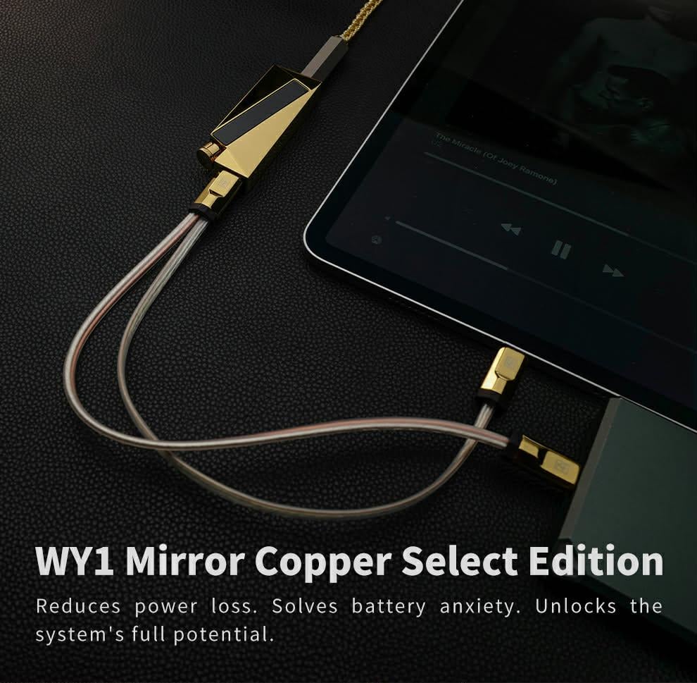 Ảnh minh họa Cáp Luxury&Precision WY1 1