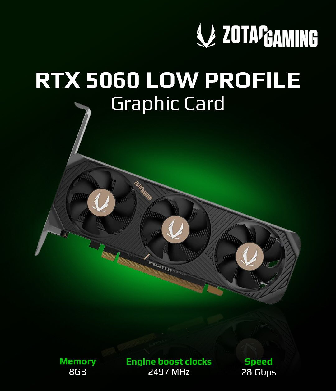 Ảnh minh họa Card đồ họa ZOTAC GeForce RTX 5060 LP 1