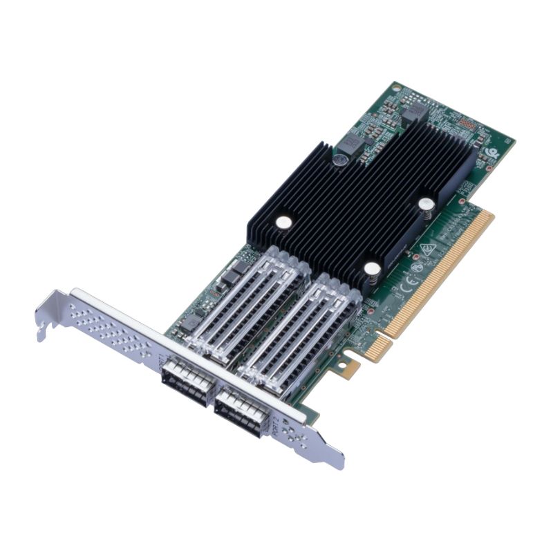 Card Synology P2100G