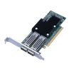 Card Synology P2100G