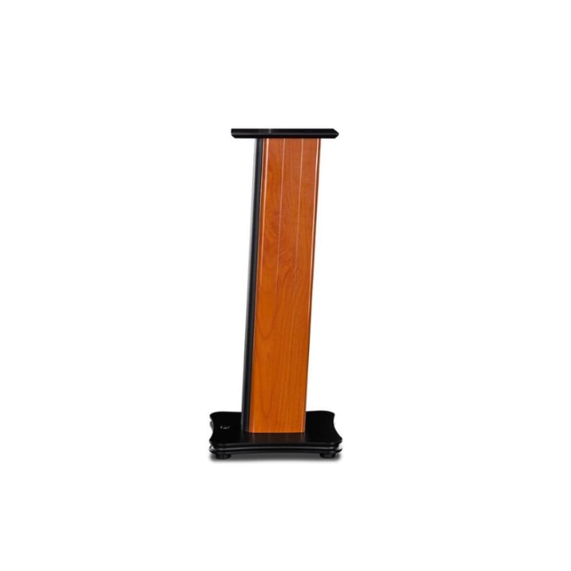 Ảnh minh họa Chân loa Hivi Swan ST 3.1 1