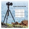Chân máy ảnh Carbon K&F Concept O254C2 + BH-36 KF09.123