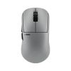 Chuột Pulsar Pro Series BUZZ-X Medium