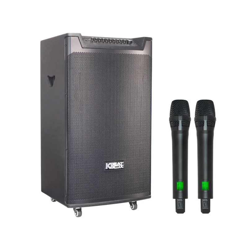 Ảnh minh họa Loa Acnos TOP 430 MAX (Bass 40cm, Công suất 600W, Bluetooth 5.0, USB-C, HDMI, ARC, Optical, AUX, Kèm 2 Mic) 1