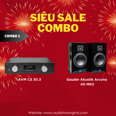 Combo 1: AVM CS 30.3 + Gauder Akustik Arcona 40 MKII