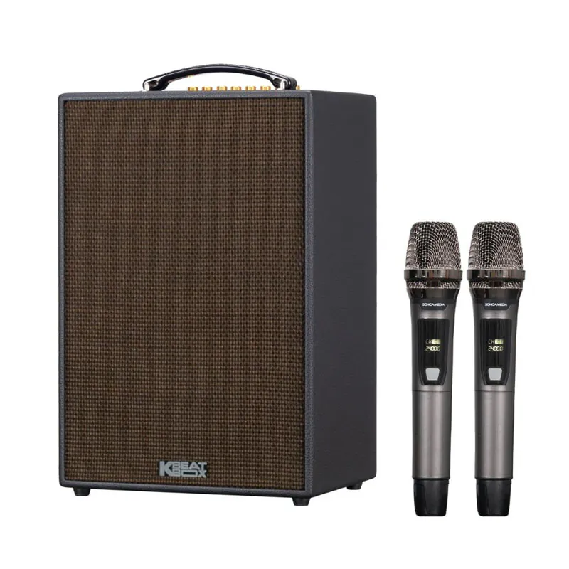 Ảnh minh họa Loa Acnos CS286PRO, Bass 20 cm, Công suất 100W, Bluetooth 5.0, MP3 USB, LINE IN, OPTICAL IN, Đi kèm 2 Mic 1