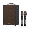 Loa Acnos CS286PRO, Bass 20 cm, Công suất 100W, Bluetooth 5.0, MP3